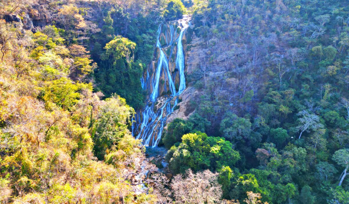 Cachoeira com várias quedas d'água, cercada por mata nativa