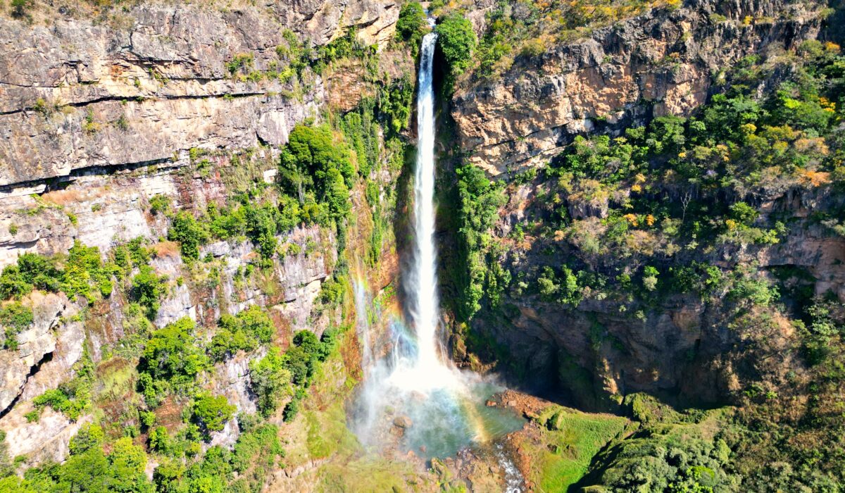 Queda de cachoeira de mais 168 metros de altura, cercado por mata nativa